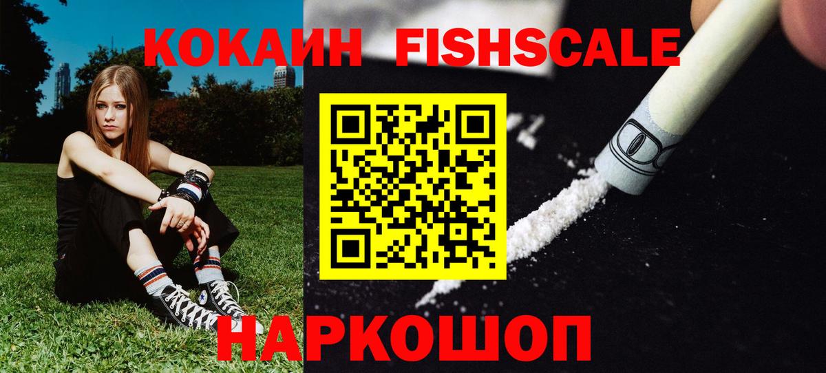 Cocaine FishScale Новодвинск