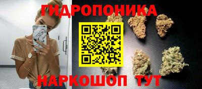 a pvp Гагарин