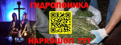 a pvp Гагарин