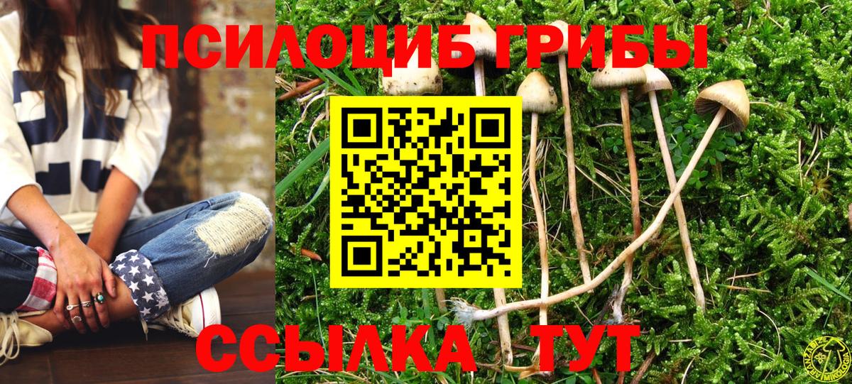 Псилоцибиновые грибы мицелий  Вход с VPN  Новодвинск 