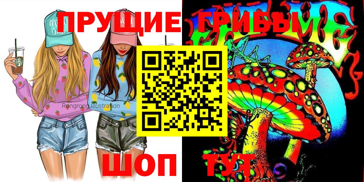 Галлюциногенные грибы Psilocybine cubensis Новодвинск